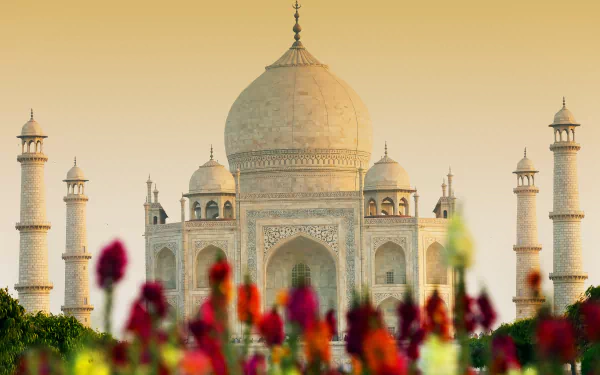 HD wallpaper of the Taj Mahal, an iconic monument in India, featuring its magnificent dome and minarets. The foreground displays vibrant, blurred flowers, enhancing the architectural beauty.