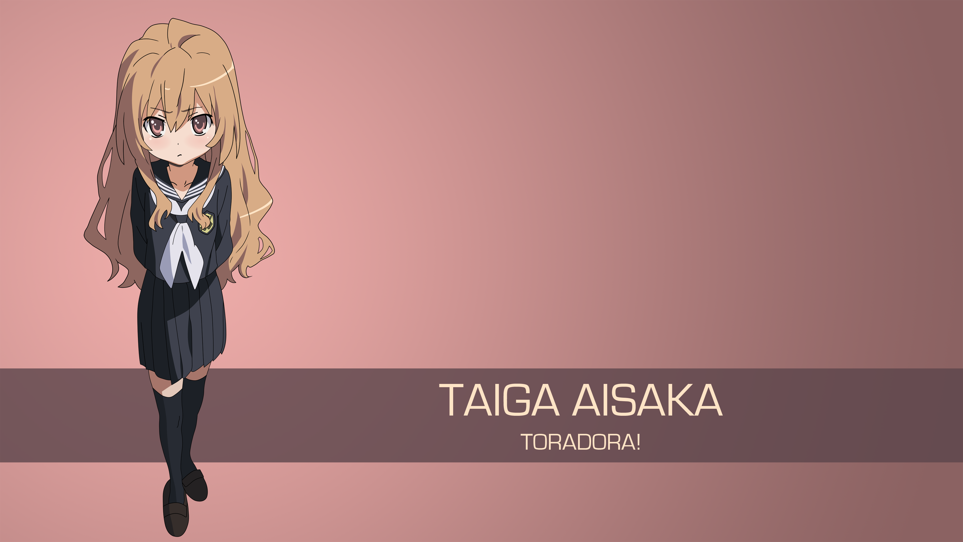 Wallpaper : Aisaka Taiga, Toradora, anime 3840x2160