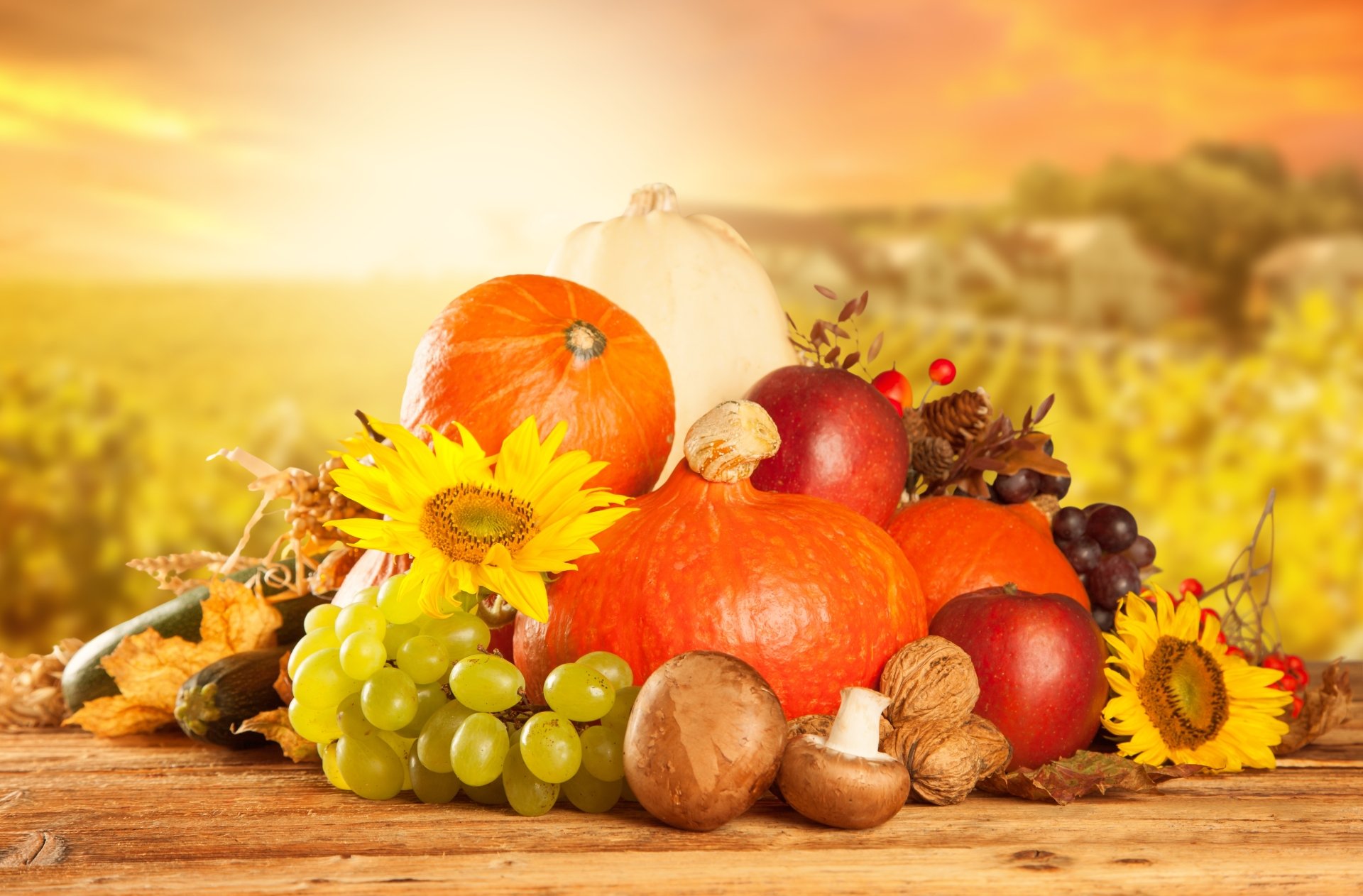 An 8K Ultra HD still life photograph of vibrant fall produce, including pumpkins, grapes, apples, mushrooms, and sunflowers, set against a golden autumn background.