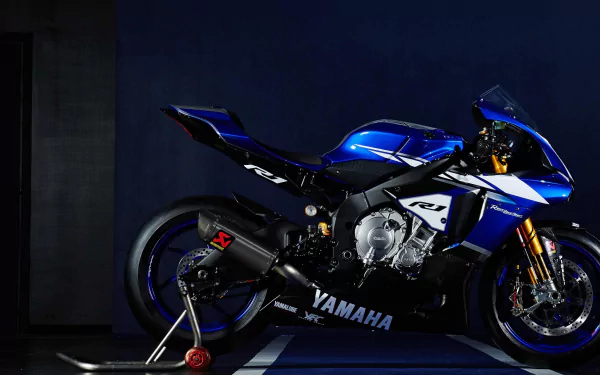  MotoGP