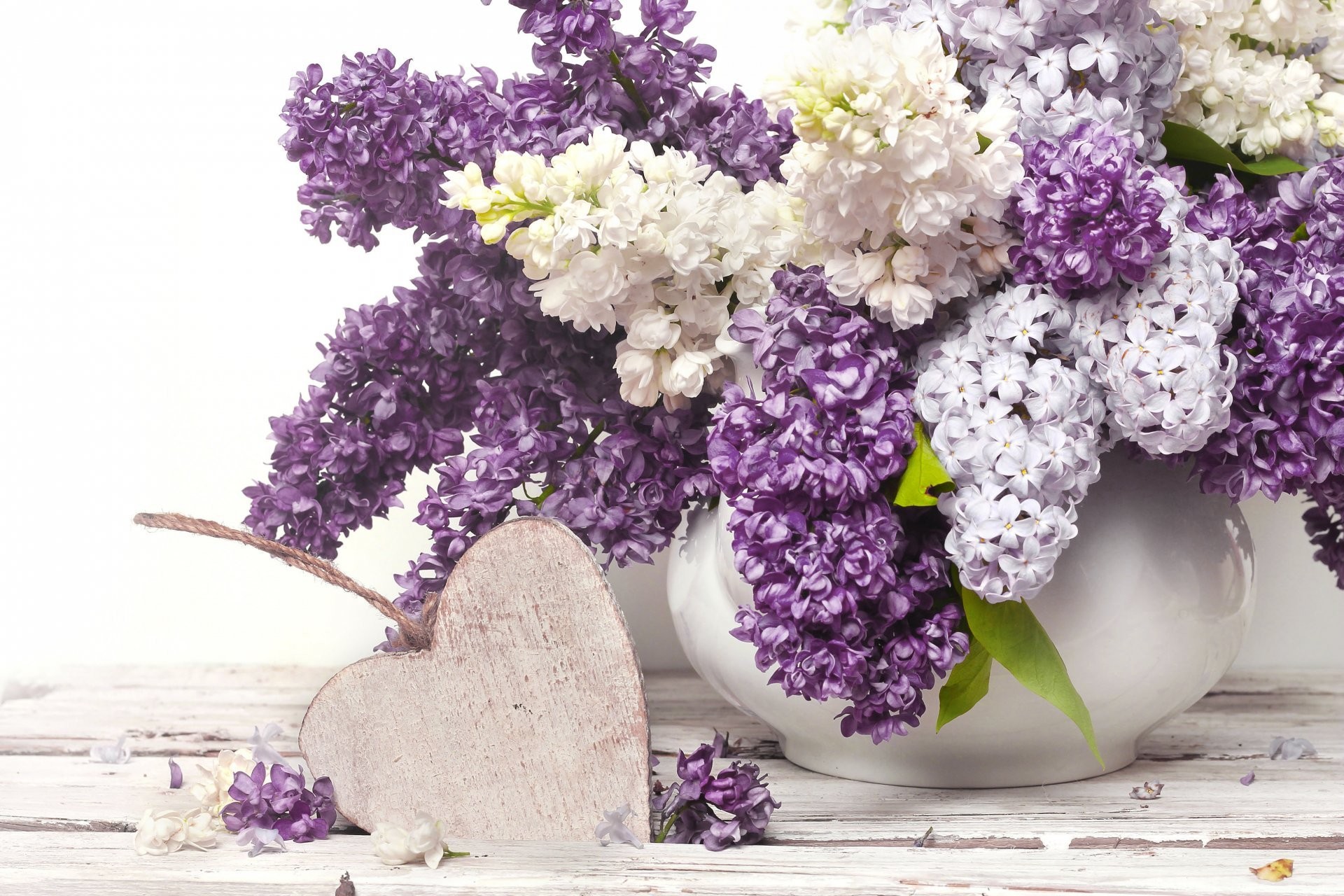 Download Purple Flower White Flower Vase Heart Lilac Photography Still