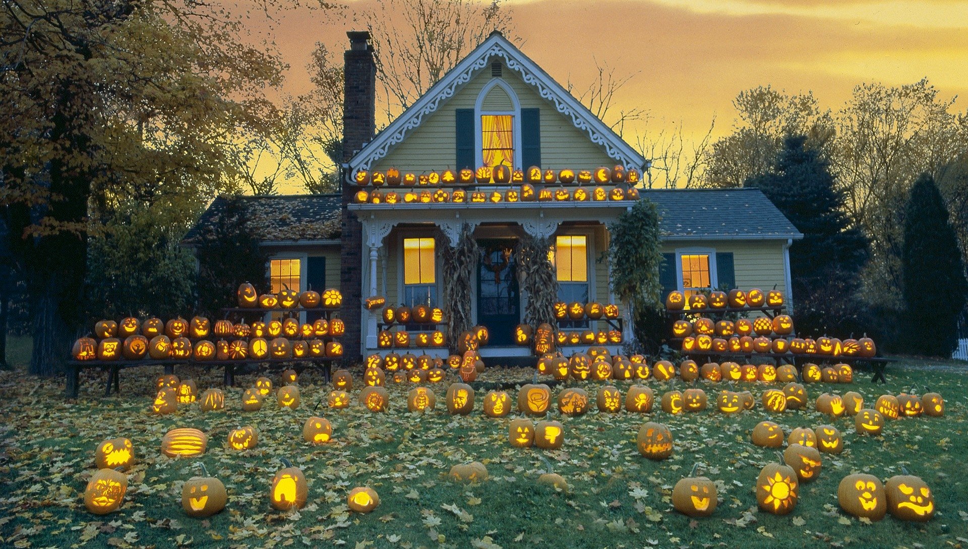 Halloween House 