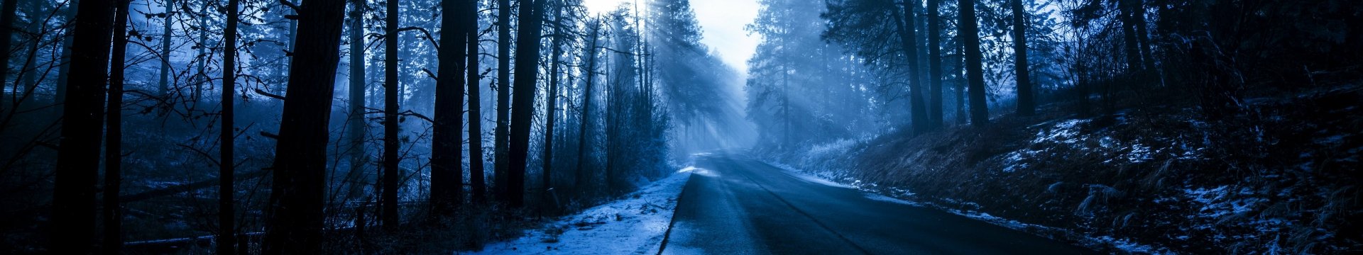 Download Forest Tree Sunlight Snow Winter Man Made Road HD Wallpaper