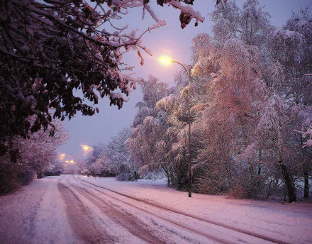 Snow-covered road lined with trees and glowing street lights at dusk in a serene winter scene, captured in HD for a desktop wallpaper background.