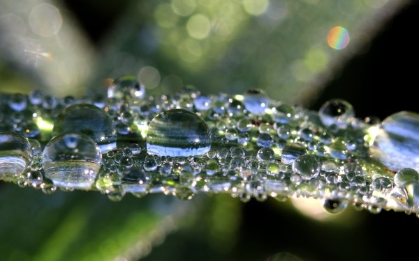 Earth Water Drop Nature Macro Reflection HD Wallpaper | Background Image