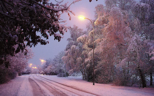  Winter Road