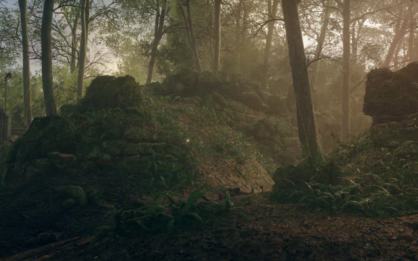 4K Ultra HD Battlefield 1 PC desktop wallpaper featuring a misty, dense forest scene with tall trees and overgrown ruins, capturing the game's atmospheric realism.