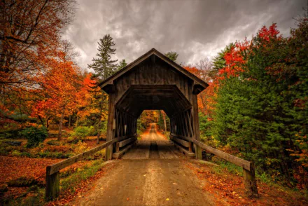  Covered Bridge in Autumn