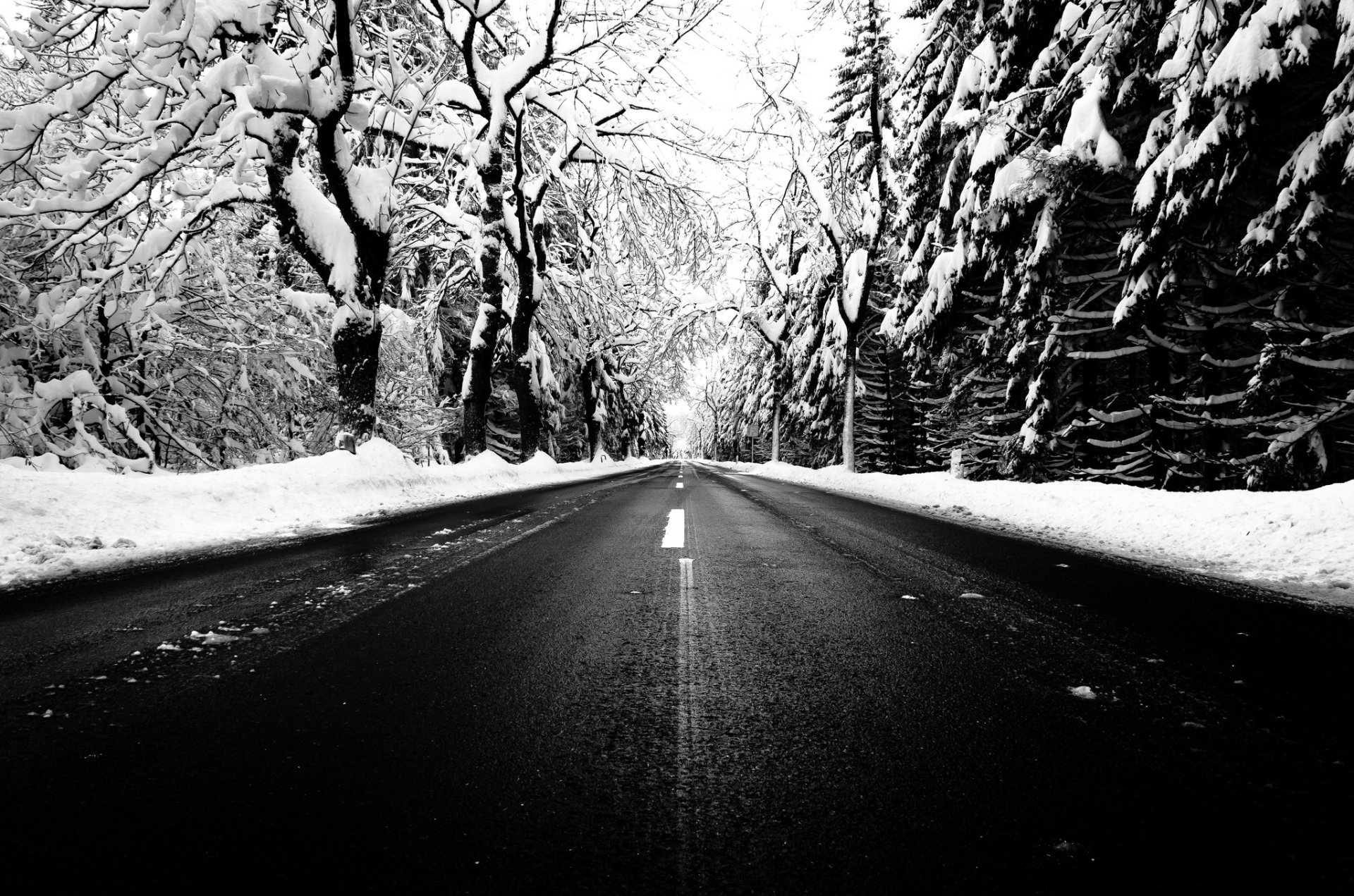 Download Snow Tree Winter Nature Man Made Road HD Wallpaper | 2048x1356 ...