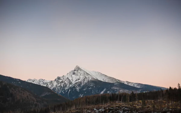 peak forest landscape nature mountain HD Desktop Wallpaper | Background Image