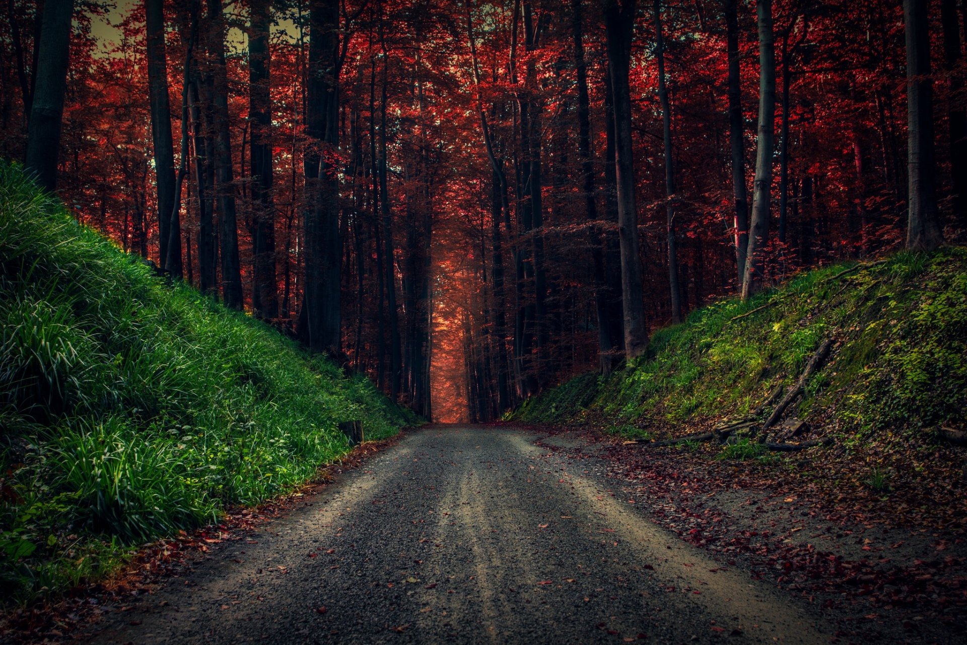 Download Dirt Road Fall Tree Forest Nature Man Made Road HD Wallpaper