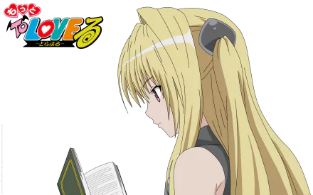 HD PC desktop wallpaper of Golden Darkness from the anime To Love-Ru, featuring her reading a book with a focused expression against a transparent background.