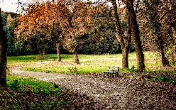 Photography Park Fall Nature Path Tree Bench HD Wallpaper | Background Image