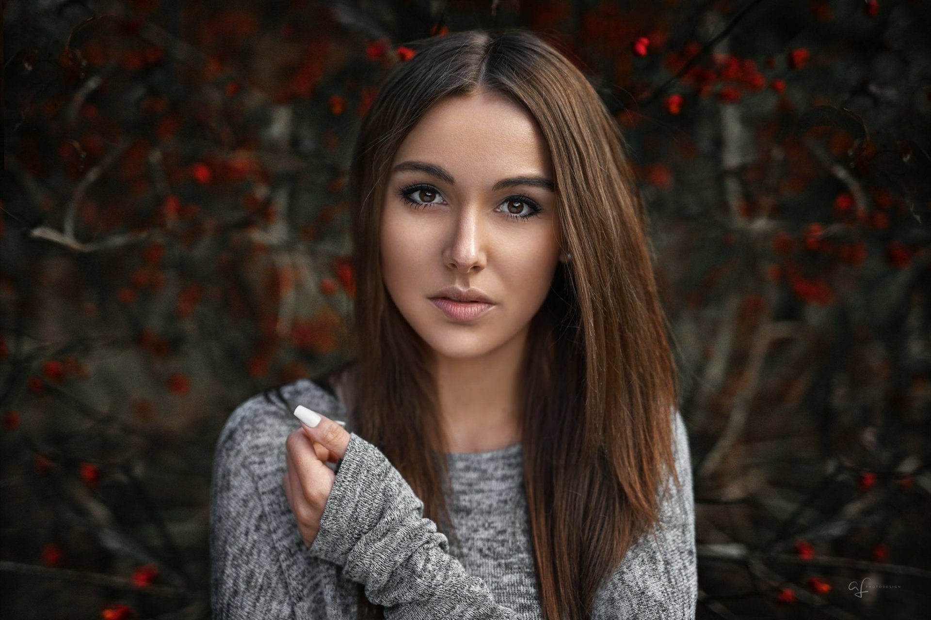 HD PC desktop wallpaper background: brunette woman and model with brown eyes, straight hair and a gray sweater, framed by dark foliage and red berries.