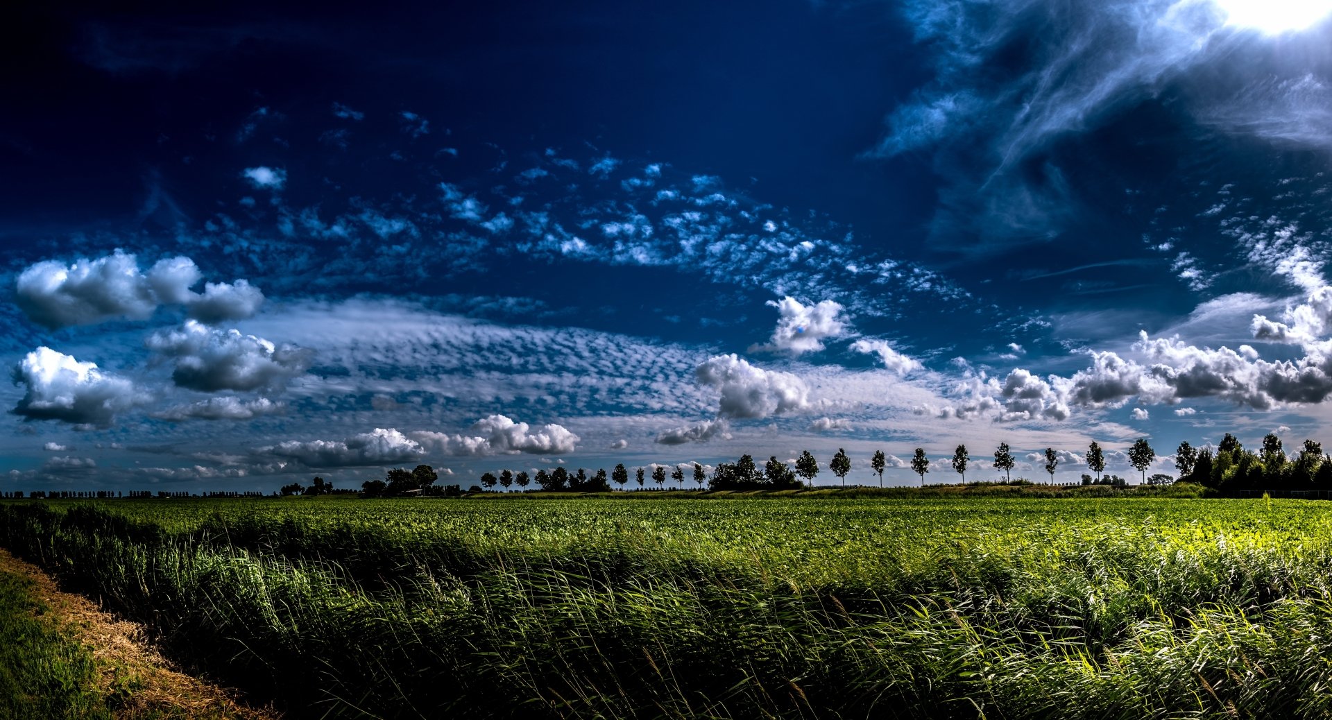 Download Cloud Sky Summer Nature Field 4k Ultra HD Wallpaper ...