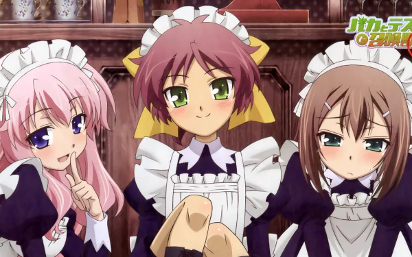 Anime HD desktop wallpaper featuring three characters from Baka and Test dressed in maid outfits with varied expressions.