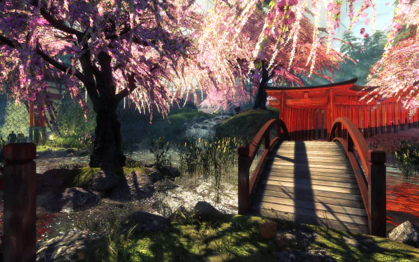  Shadow Warrior pic 1