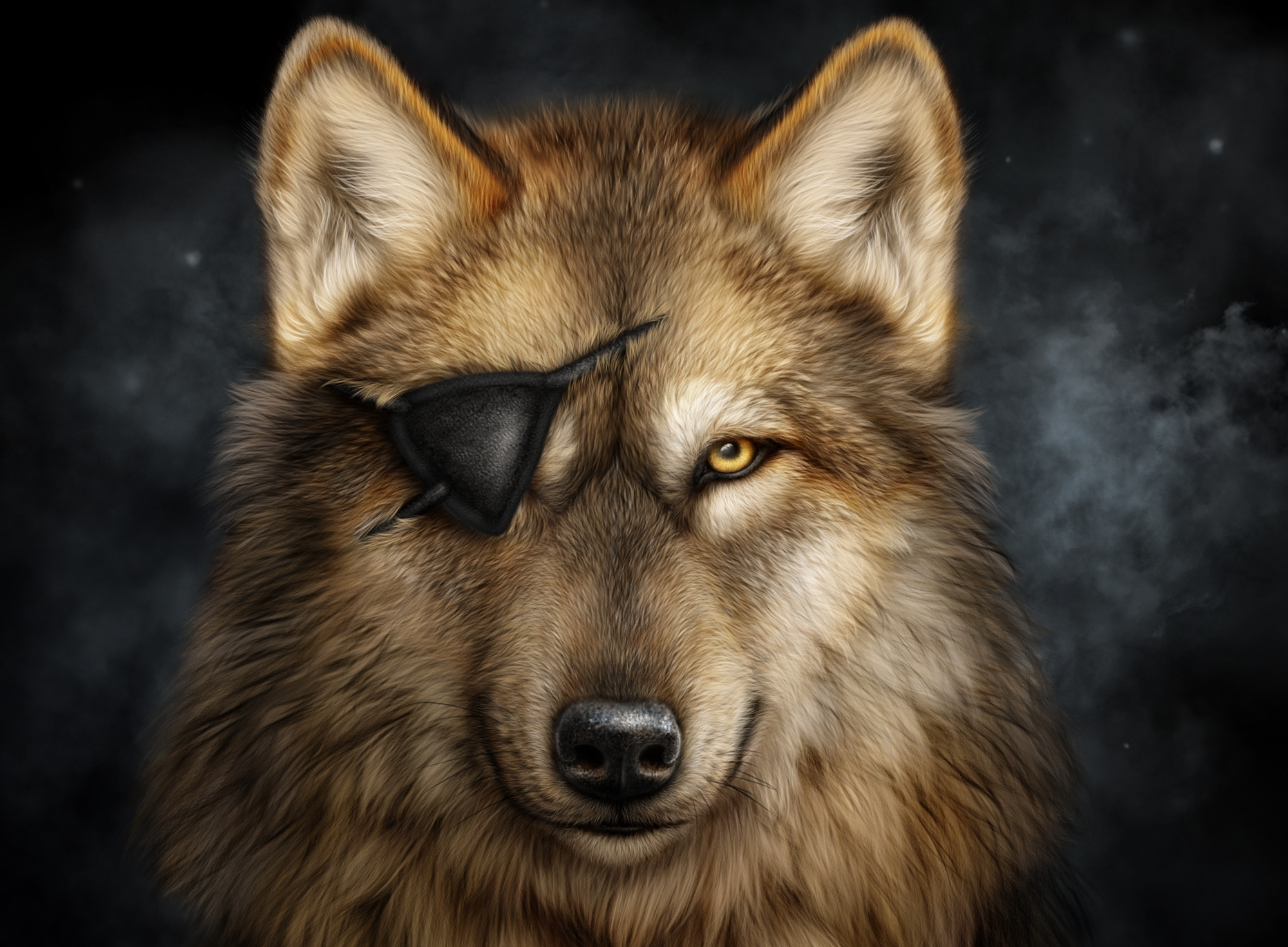 Wolf with an Eye Patch