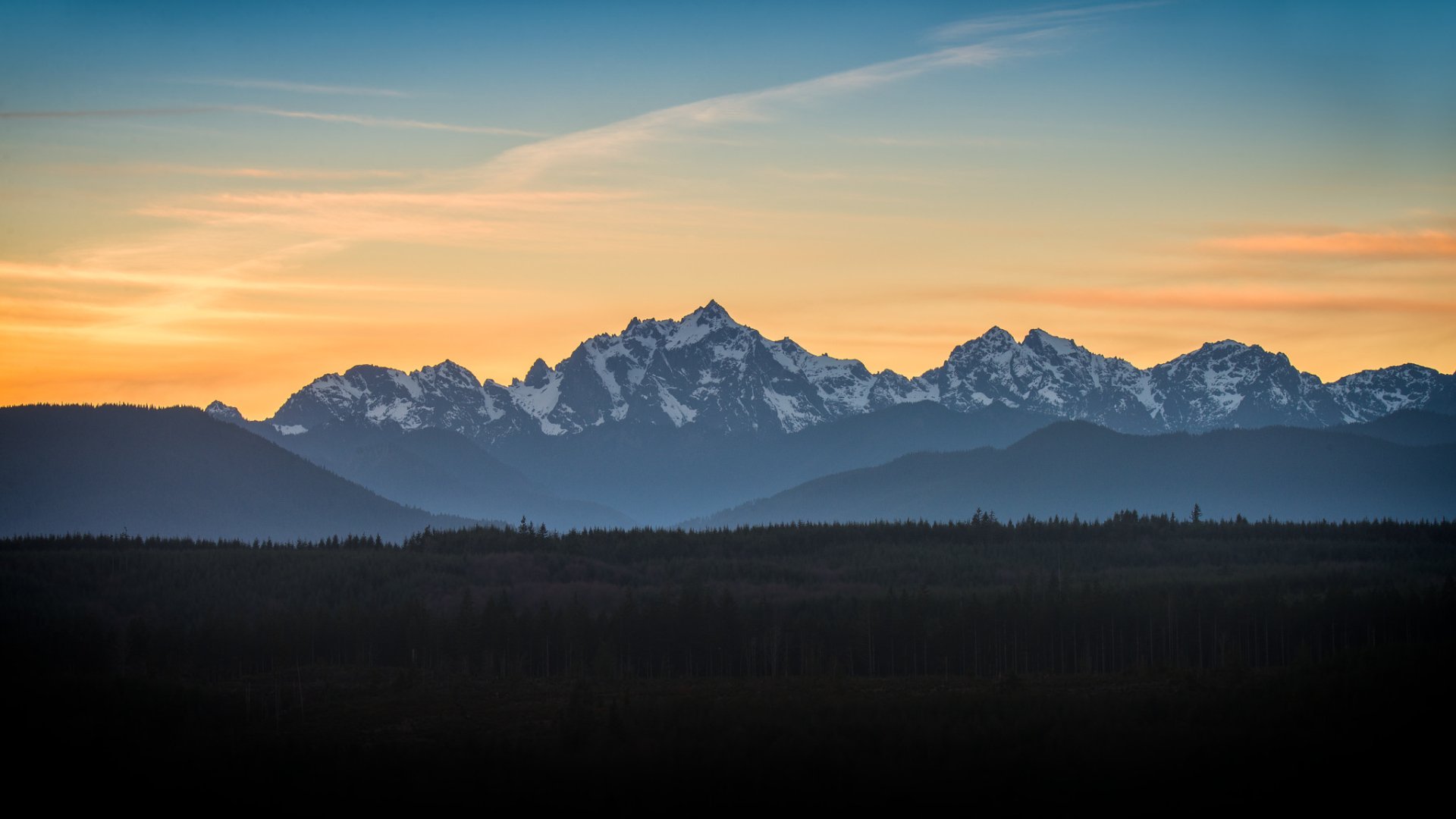 Download Mountain Forest Nature Landscape HD Wallpaper