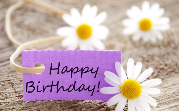 A cheerful HD desktop wallpaper featuring white daisies and a purple tag that reads Happy Birthday, capturing the spirit of celebration and joy for the holiday.