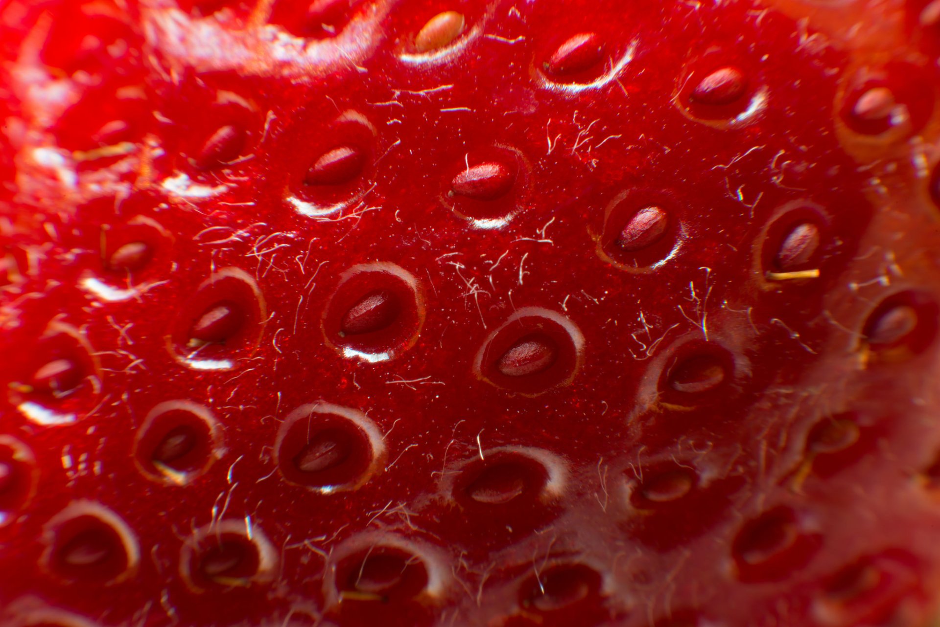 Download Macro Food Strawberry HD Wallpaper