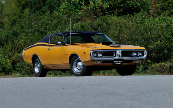  1971 Dodge Charger 500 Super Bee Hemi