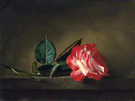 red flower leaf stem nature rose HD Desktop Wallpaper | Background Image