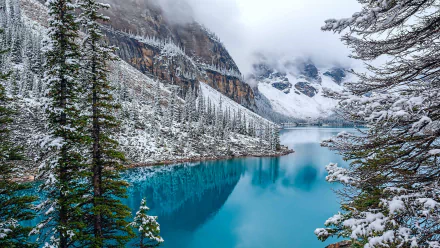A serene winter scene at Moraine Lake, Canada, featuring snow-covered mountains, a tranquil blue lake, and tall evergreen trees surrounded by a snowy forest.