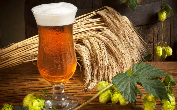 hop still life alcohol glass food beer HD Desktop Wallpaper | Background Image