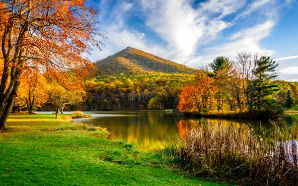 Earth River Landscape Mountain Forest Fall Tree HD Wallpaper | Background Image