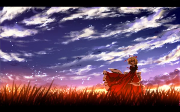 Medicine Melancholy (Touhou) anime HD PC desktop wallpaper/background: a lone girl in a flowing red dress stands in tall grass under a vast, cloud-streaked twilight sky.