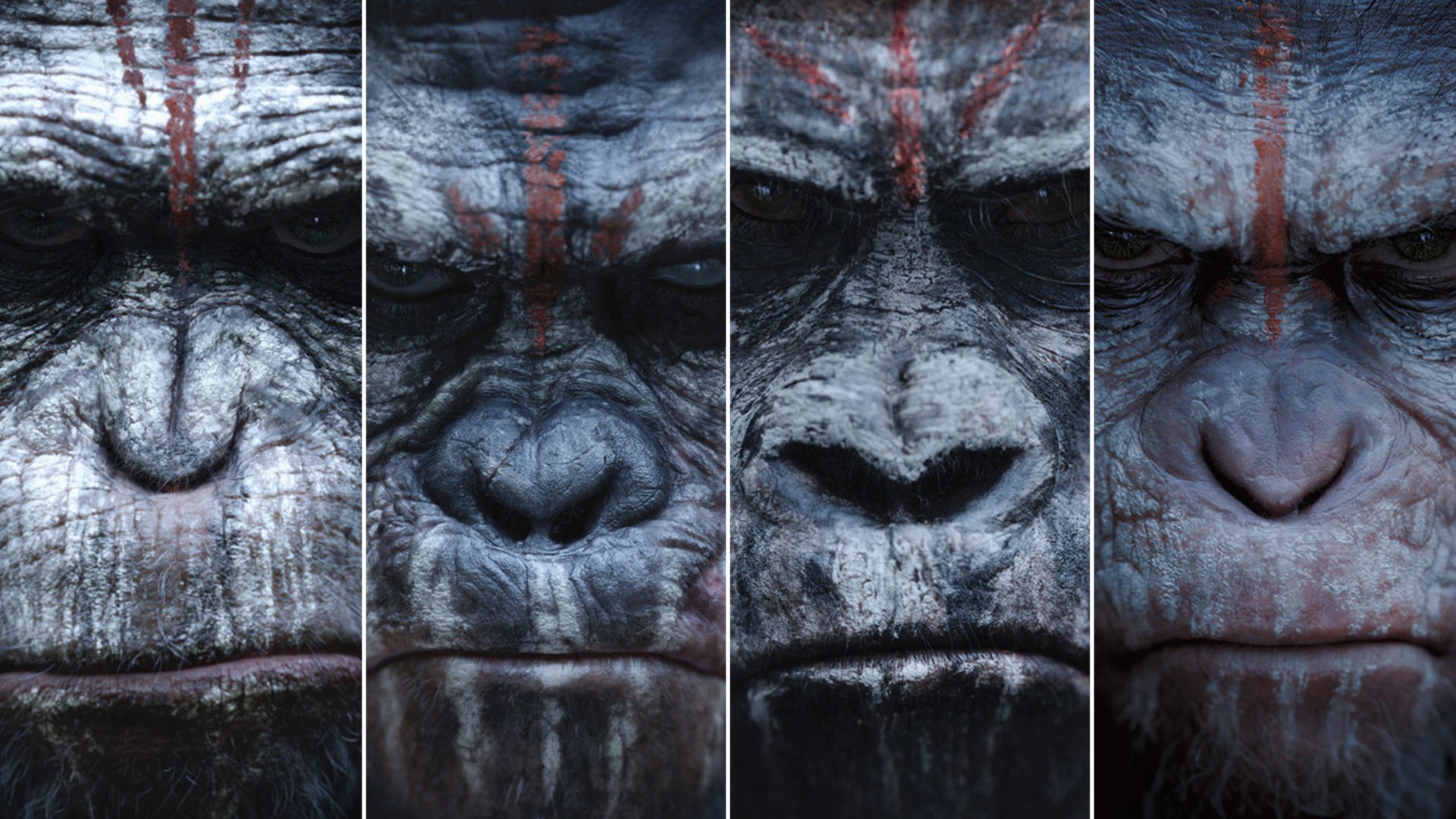 Movie Dawn of the Planet of the Apes HD Wallpaper | Background Image