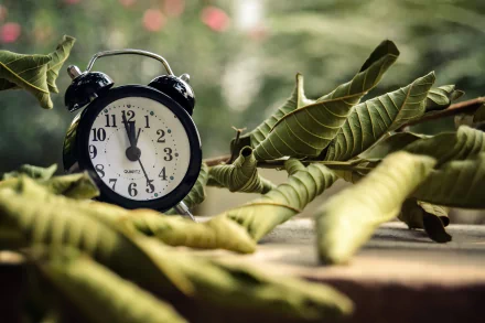 man made clock HD Desktop Wallpaper | Background Image