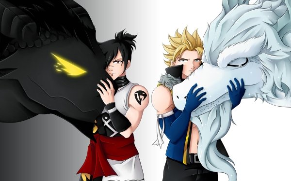 Anime Fairy Tail Sting Eucliffe Rogue Cheney Weisslogia Skiadrum HD Wallpaper | Background Image