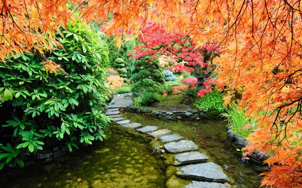 Man Made Japanese Garden Path Pond Fall HD Wallpaper | Background Image