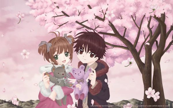 teddy bear Syaoran Li Sakura Kinomoto Anime Cardcaptor Sakura HD Desktop Wallpaper | Background Image