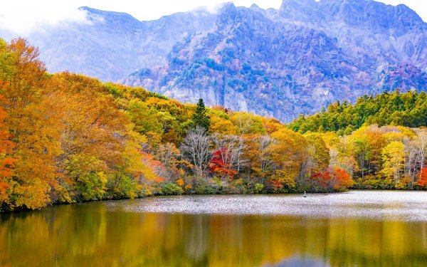 Nature Lake Lakes Forest Fall Reflection Tree Mountain HD Wallpaper | Background Image