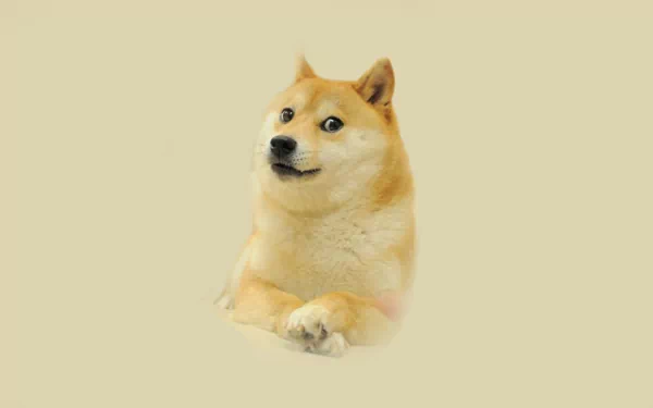 HD desktop wallpaper featuring a Shiba Inu dog, known as Doge, on a plain beige background.