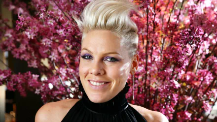 jazz pop rock pop music Pink (Singer) music HD Desktop Wallpaper | Background Image