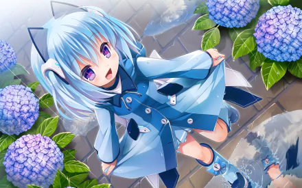 Anime HD PC desktop wallpaper and background of 1000-chan: cheerful blue-haired girl with cat-ear headband in a blue coat standing on wet cobblestones amid purple hydrangeas.