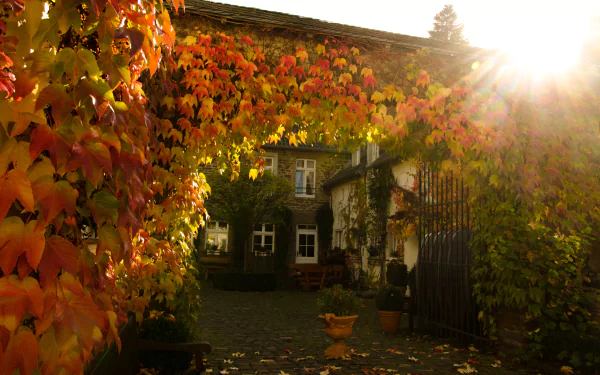  House in Autumn