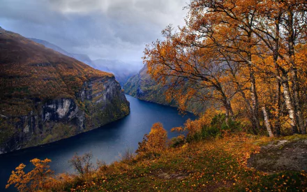 HD desktop wallpaper showcasing a vibrant fall scene with orange-leaved trees overlooking a serene fjord framed by towering mountains in nature.
