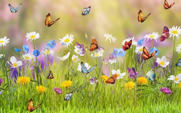 Artístico Primavera Hierba Prado Flor Mariposa Colores Colorful Fondo de pantalla HD | Fondo de Escritorio