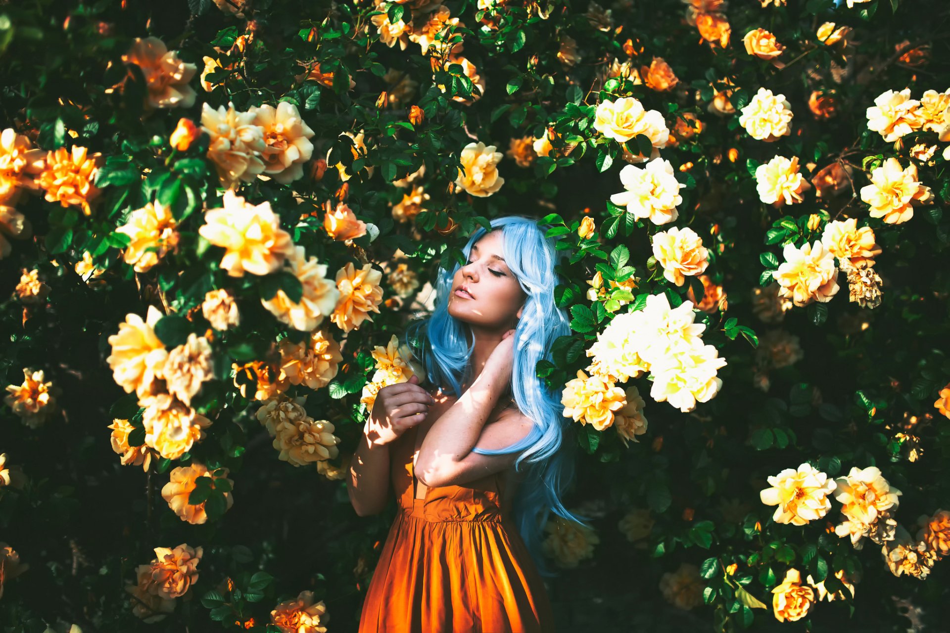 Download Flower Orange Dress Blue Hair Model Woman Mood HD Wallpaper by Alexandra Cameron