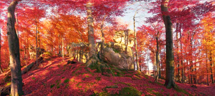 A vibrant fall forest scene with red and orange foliage surrounding large boulders, captured in stunning 4K Ultra HD for a PC desktop wallpaper.