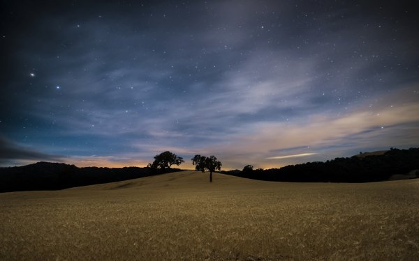 Earth Field Nature Night Sky Starry Sky Hill HD Wallpaper | Background Image