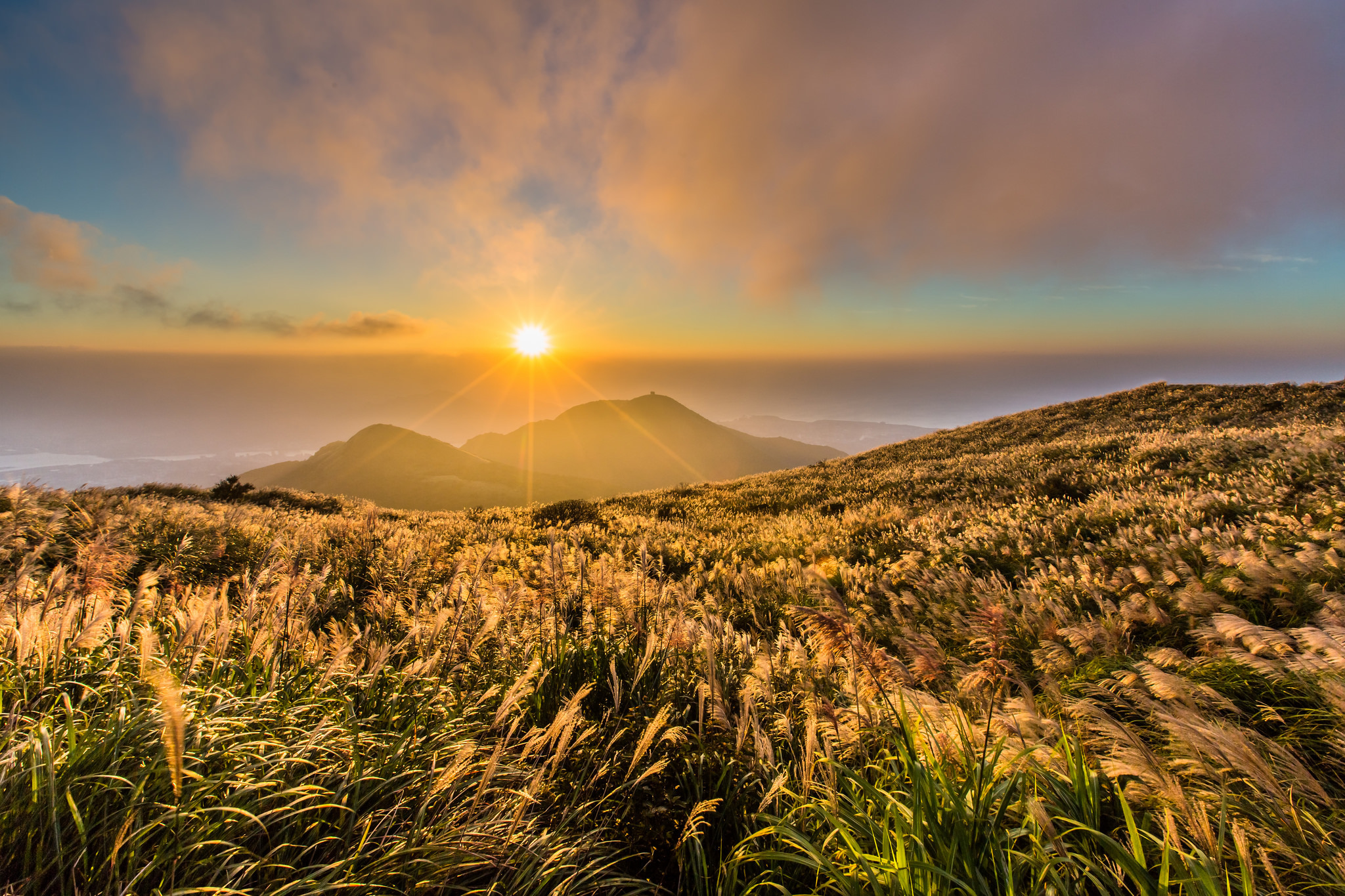 Download Sky Sun Horizon Grass Nature Sunrise HD Wallpaper