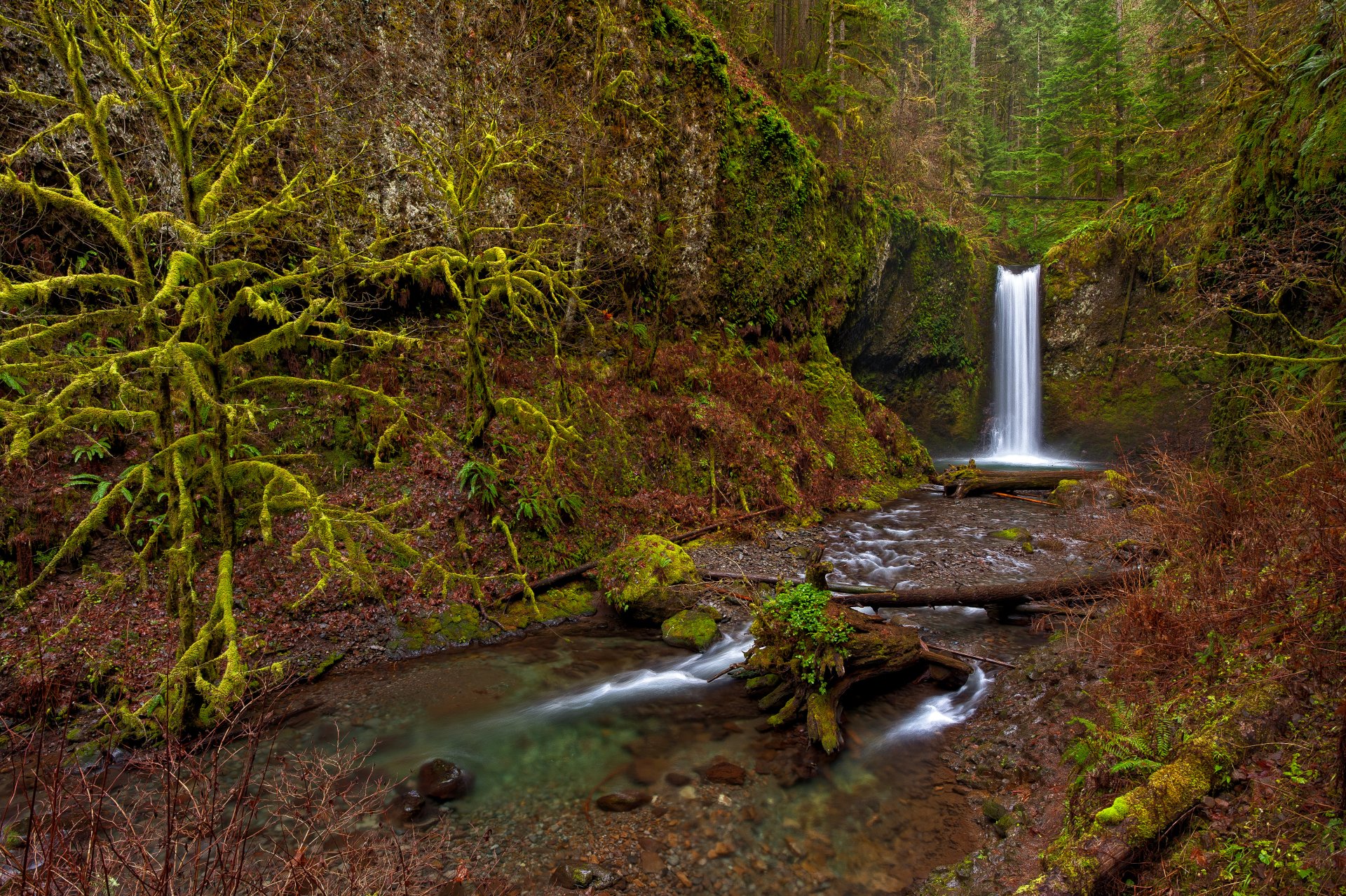 Download Stream Moss Nature Waterfall 4k Ultra HD Wallpaper | 4256x2832 ...