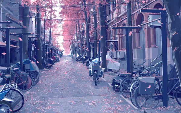 HD desktop wallpaper of an anime-inspired street lined with bicycles and buildings, adorned with cherry blossoms (sakura) in spring.