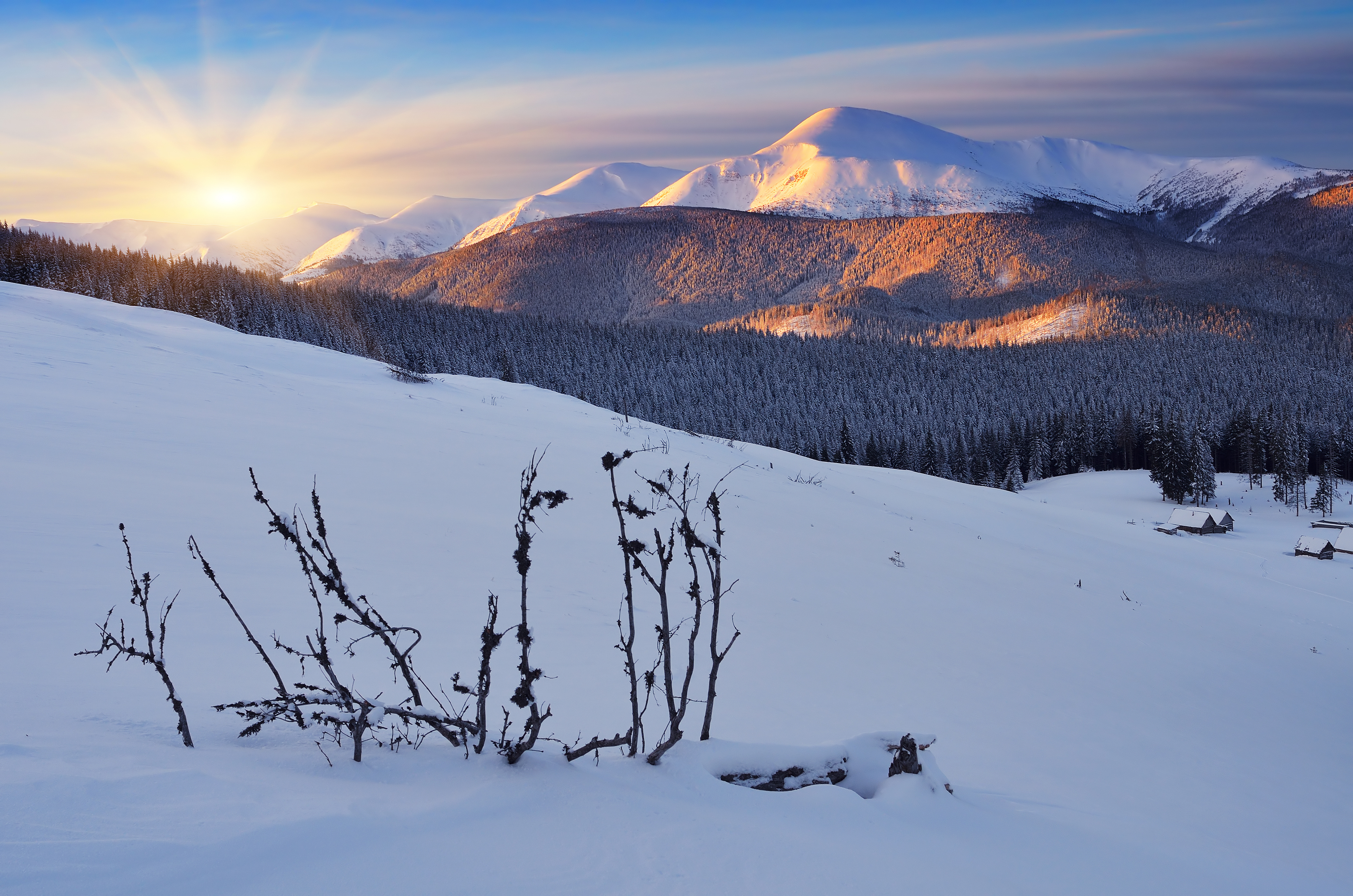Download Mountain Forest Landscape Snow Tree Nature Winter 4k Ultra HD ...